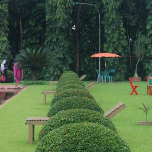 অর্কিড পর্যটন কেন্দ্র