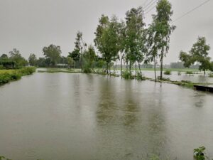 বিরহিণী দিঘী