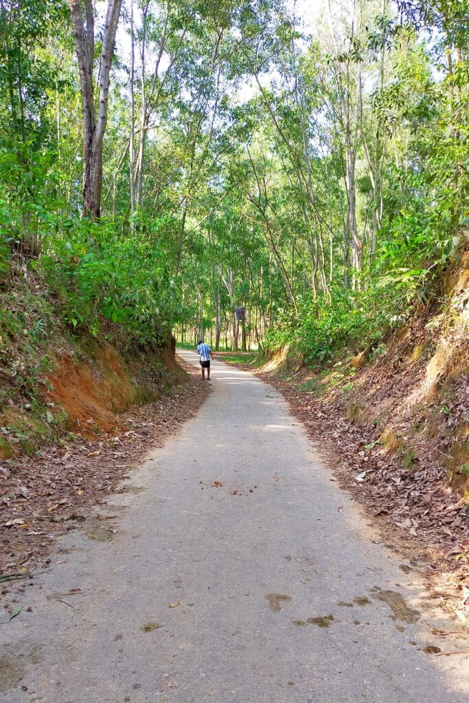 পাহাড়ি রাস্তা পানিহাটা