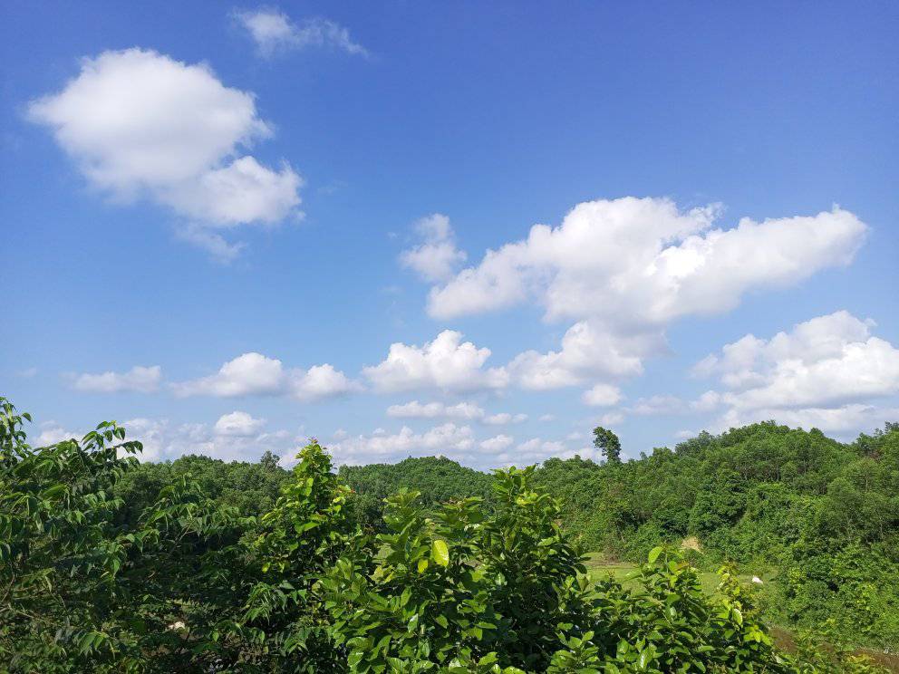 শেরপুর মধুটিলা ইকোপার্ক