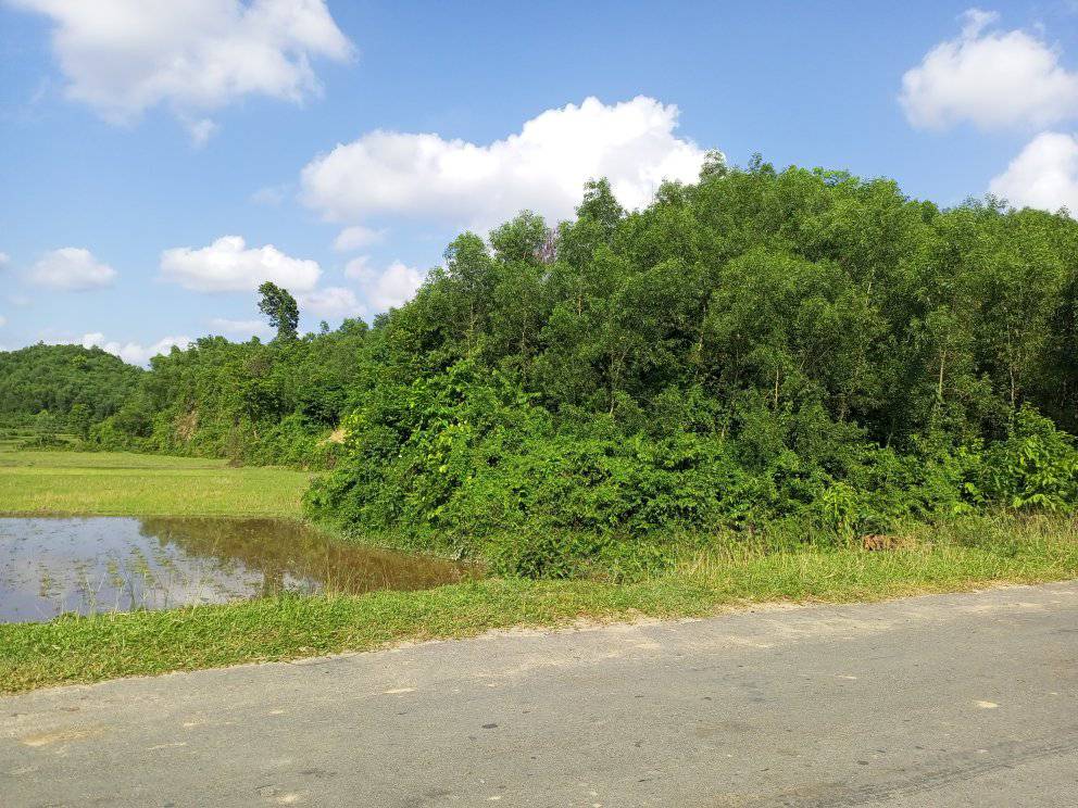 শেরপুর মধুটিলা ইকোপার্ক