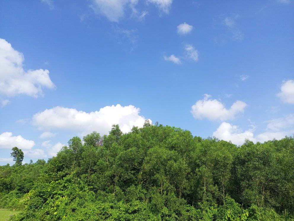 শেরপুর মধুটিলা ইকোপার্ক