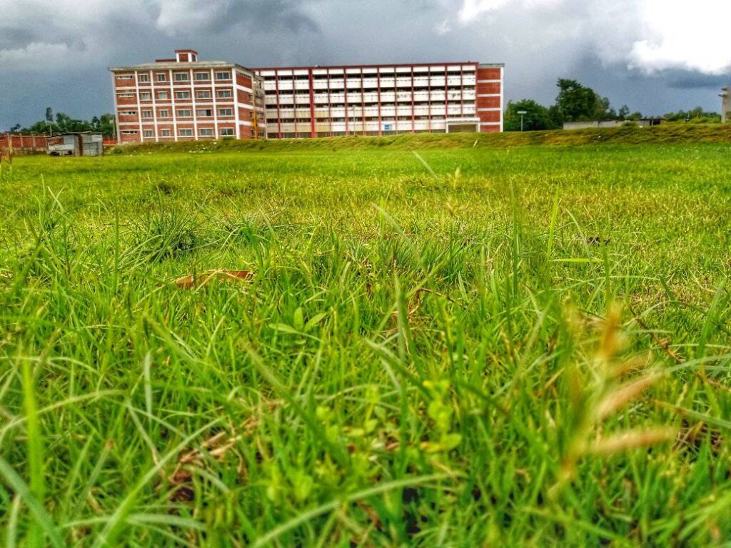 নালিতাবাড়ির শিক্ষা প্রতিষ্ঠান