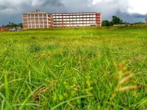 নালিতাবাড়ির শিক্ষা প্রতিষ্ঠান