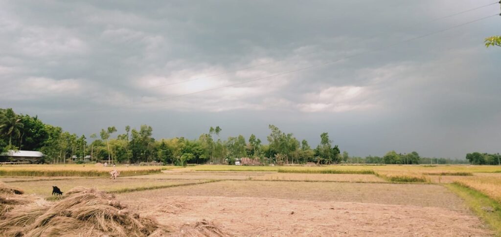 শ্রীবরদী উপজেলা