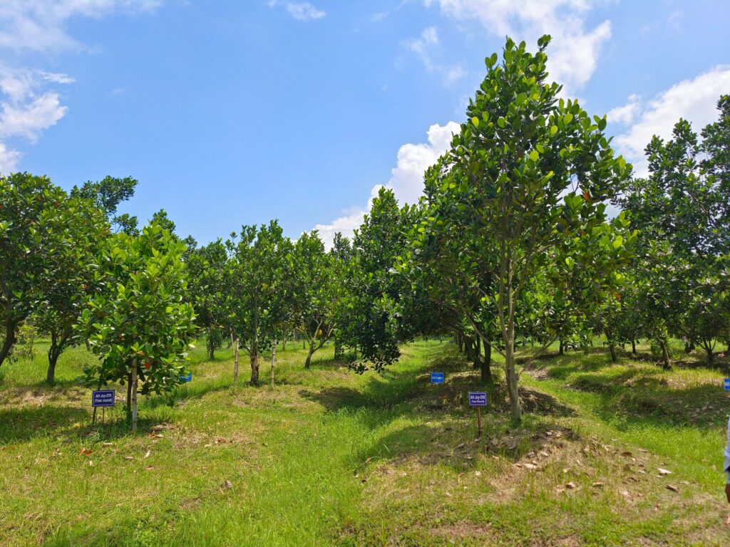 শেরপুর ভ্রমণের বর্ণনা