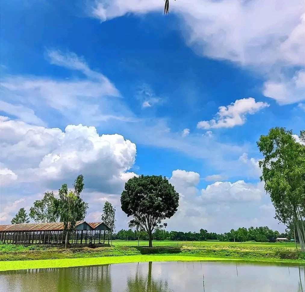 শ্রীবরদীর নামকরণ ও অবস্থান