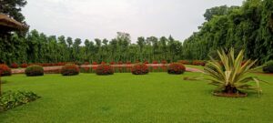 অর্কিড নন্দন কানন