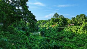 গজনী অবকাশ শেরপুর