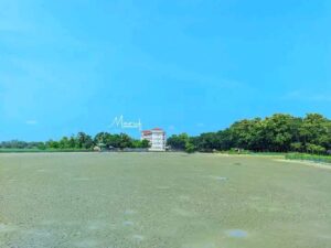 শ্রীবরদী