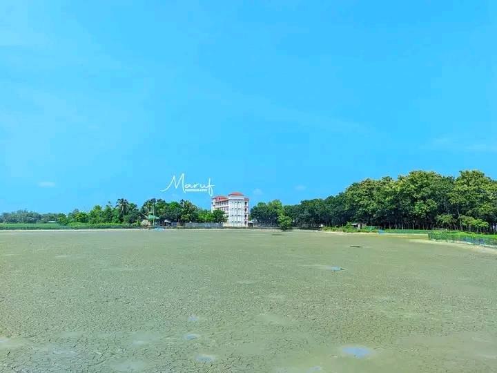 শ্রীবরদী