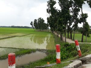 গ্রামীণ পরিবেশ