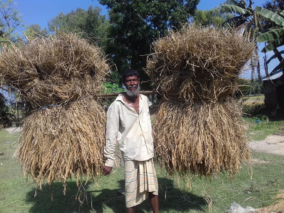কৃষক