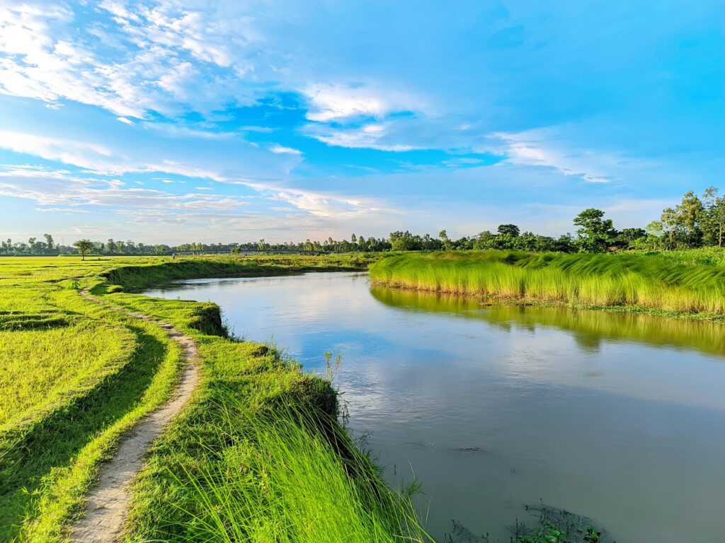 কৃষি পর্যটনের সম্ভাবনায় শেরপুর