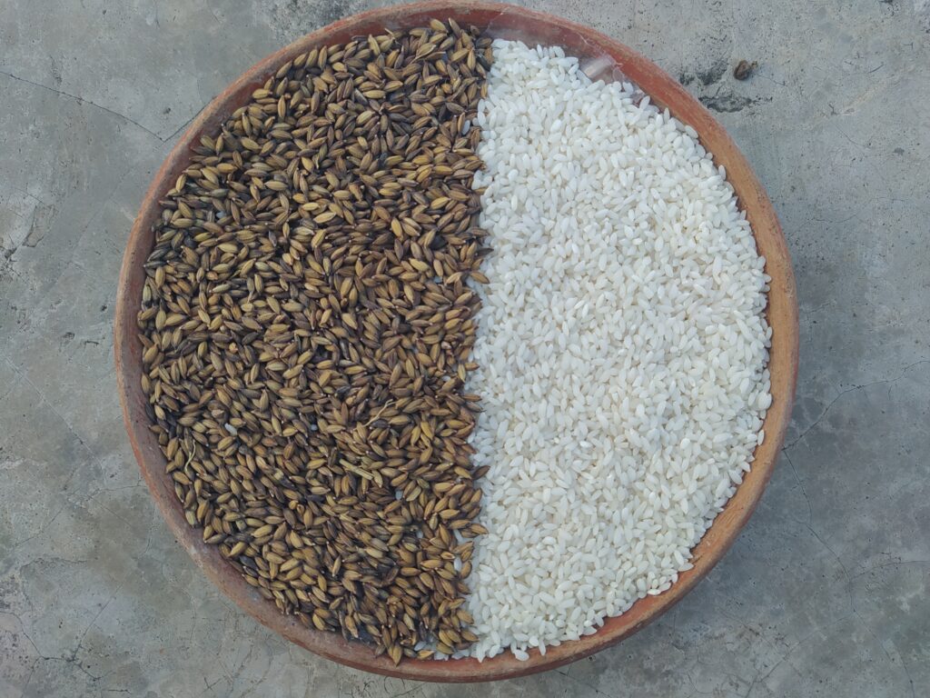 তুলশীমালার ঘ্রাণে