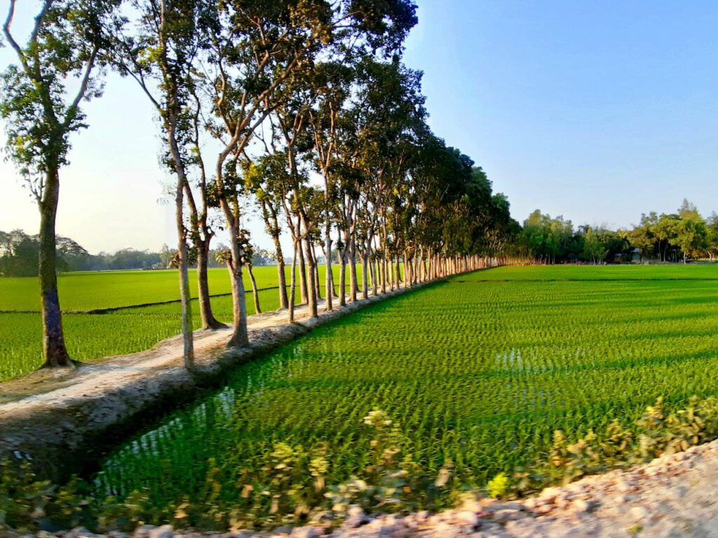 যার নামে শেরপুর