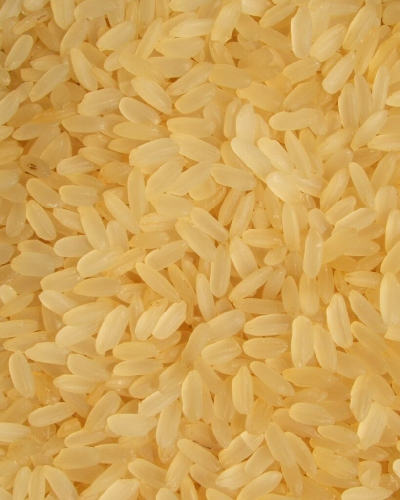 পুষ্টিবঞ্চিত হওয়ার কারণ সেদ্ধ চাল