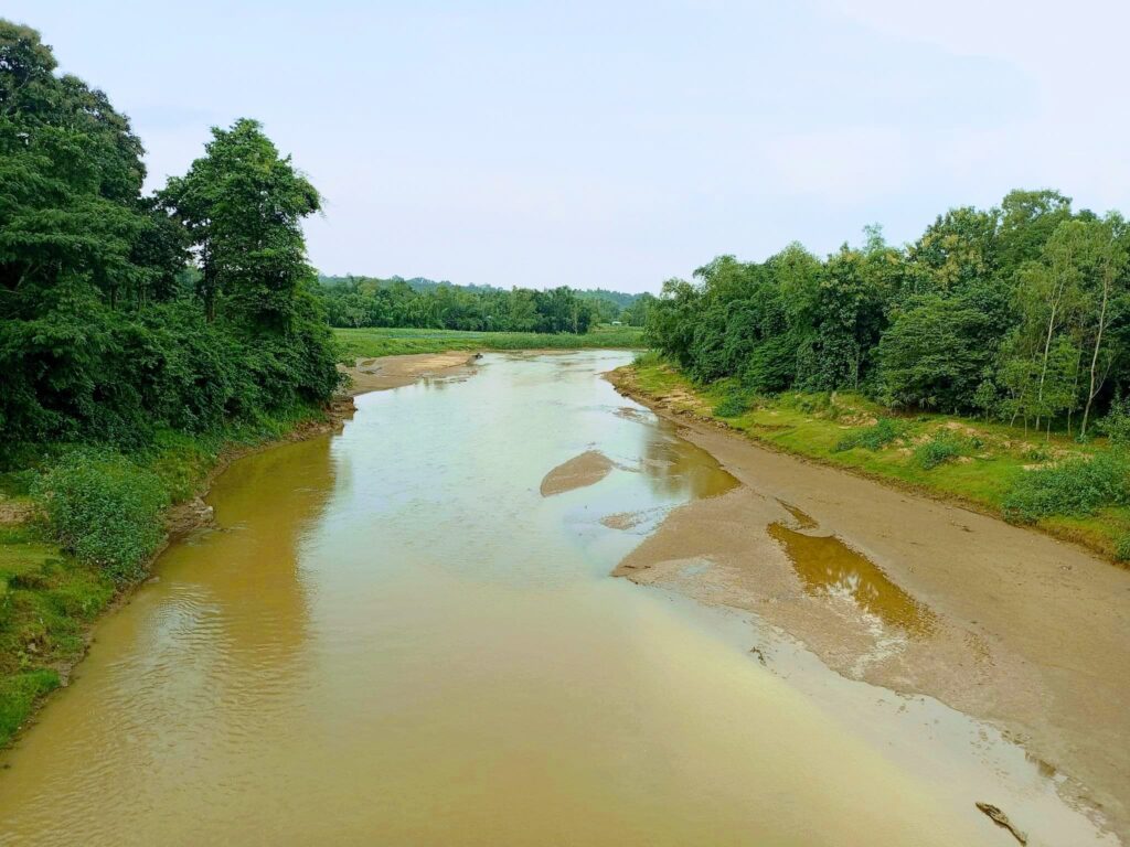 সন্ধ্যাকুড়া রাবার বাগান
