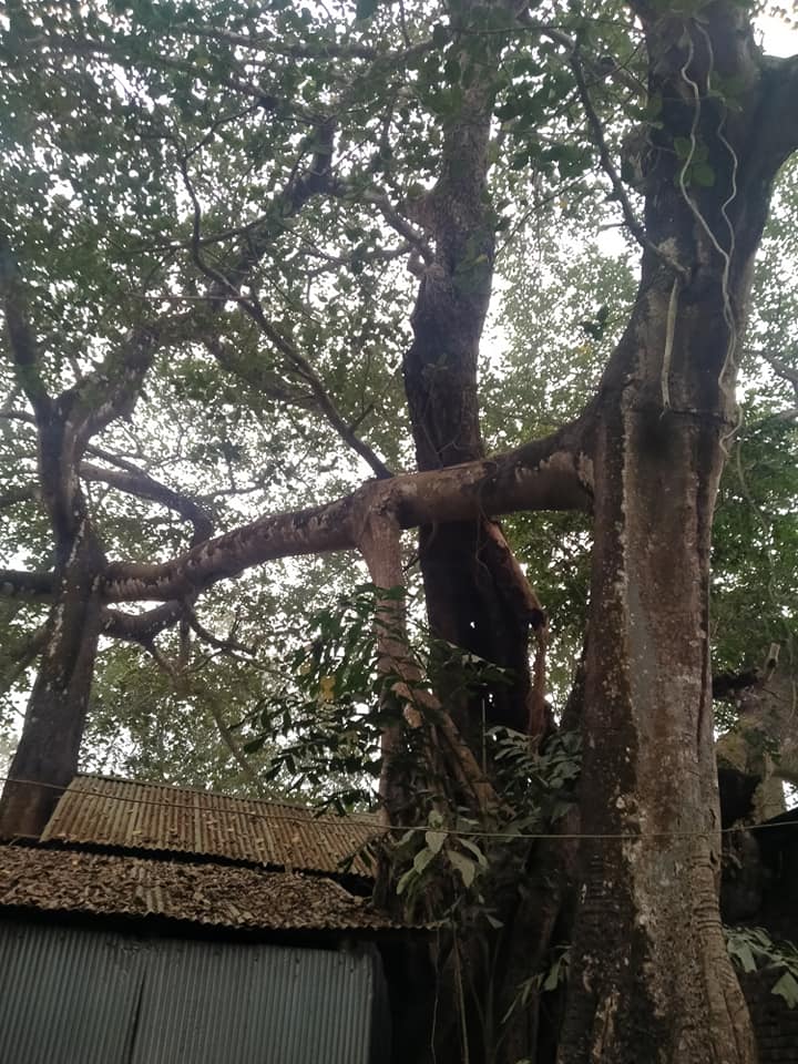 স্থানিককে দিনলিপি-২১