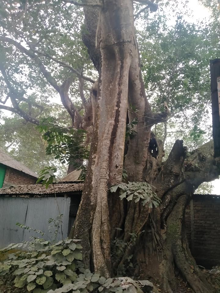 স্থানিককে দিনলিপি-২১
