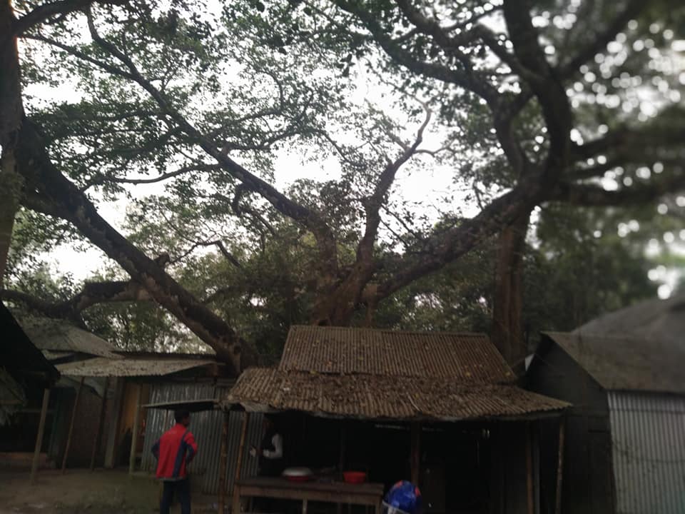 স্থানিককে দিনলিপি-২১