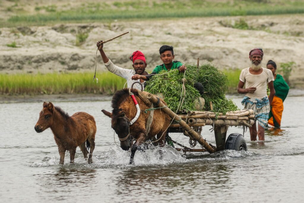 জীবন সংগ্রাম