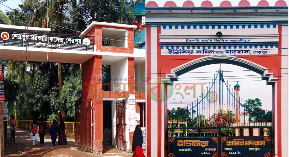 শেরপুরের উচ্চশিক্ষা প্রতিষ্ঠান সমূহ