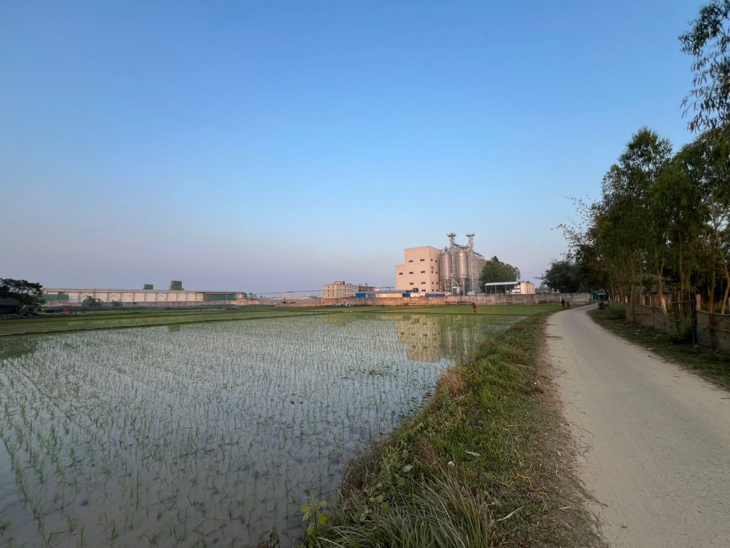 দিঘির বিস্তার ৬০ একর বা ১৮০ বিঘা জমি