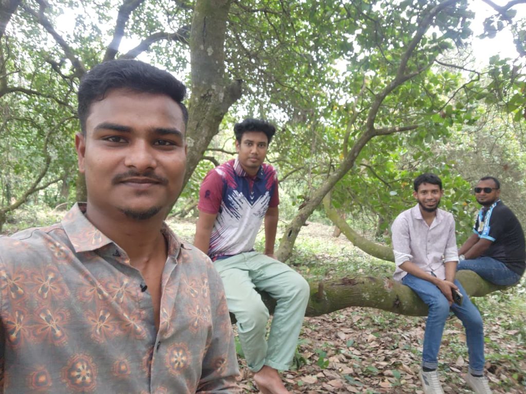 হারিয়াকোনা পাহাড়ে কাজু বাদাম বাগান