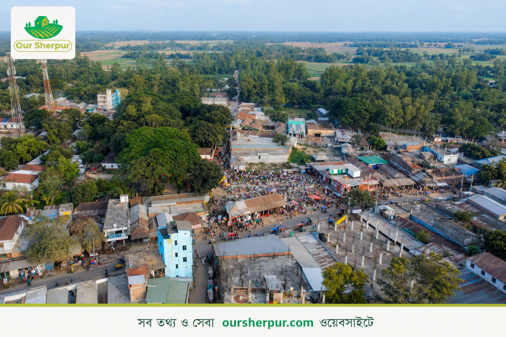 পাখি চোখে ঝগড়ার চর বাজার